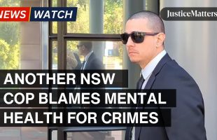 Another NSW Cop blames