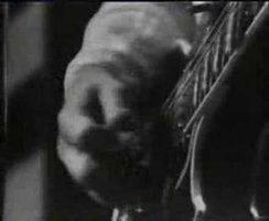 Billy Thorpe & The Aztecs