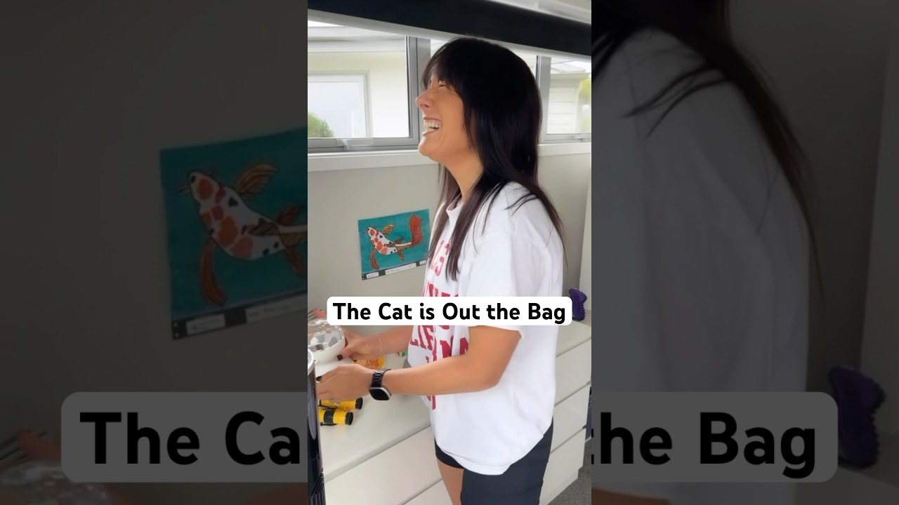 Don’t Let the Cat out of the Bag 🤷🏼‍♂️😂 #funny