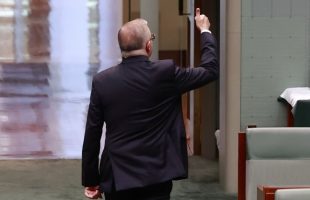 ‘Australia has a lot of politicians’: