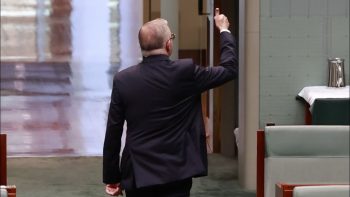 ‘Australia has a lot of politicians’: