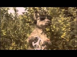 [FAST FORWARD] Skippy – Marijuana