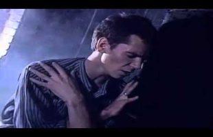 Flowers – Icehouse