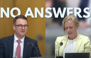 Labor's economic team or