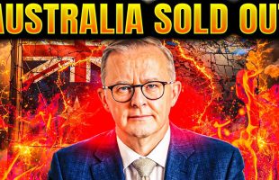 They’ve Rigged Everything