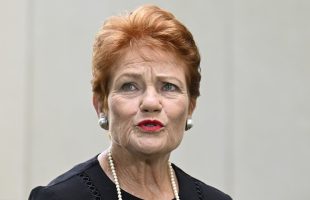 Honest Government Ad |