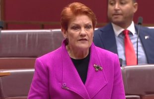 Pauline Hanson calls out ‘gutless’