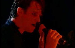 The Angels Live At Narara