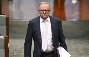 Albanese's ‘ideological obsession