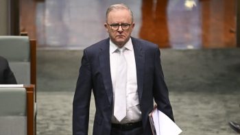 Albanese's ‘ideological obsession