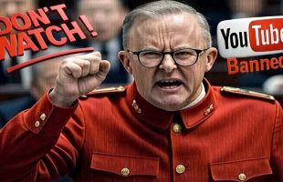 Videos like this are why