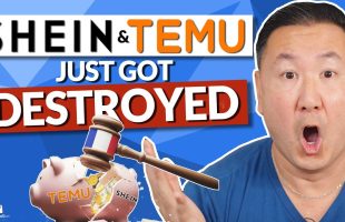 Temu & Shein Just Got Destroyed