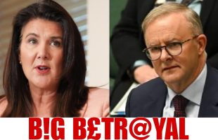 3 MINS AGO! Albanese BREAKDOWN As The Coalition HUM!LIATE Labor Over BETRAYING Their Promises